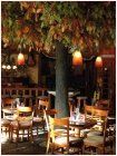 Knstlicher Baum mit bunten Blttern in einem Cafe