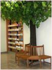 K�nstliche Linde in einer Apotheke (Image)