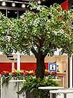 Kunstbaum (Apfel) als Messebegrnung auf der Swissbau, Basel