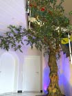 Groer, knstlicher Olivenbaum in einem Treppenhaus