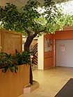 Grn belaubter Kunstbaum im Eingangsbereich (Seniorenheim)