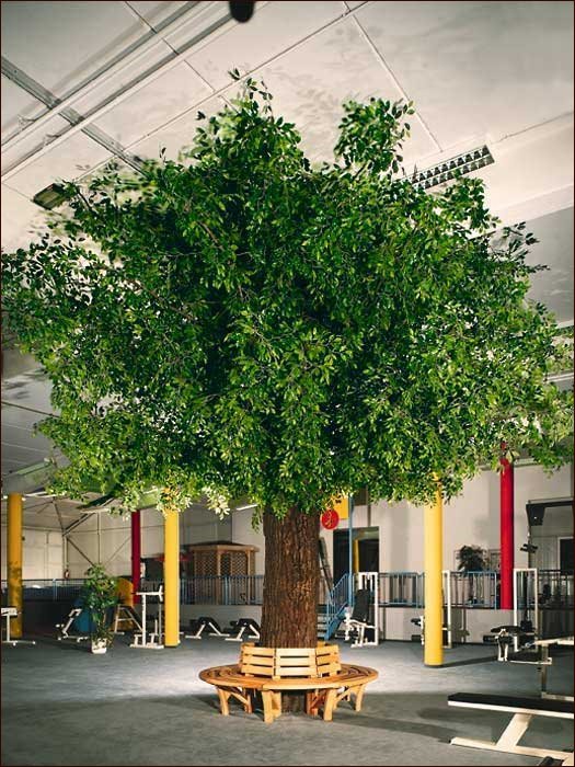 Großer, künstlicher Baum mit runder Krone in einem Fitnessraum